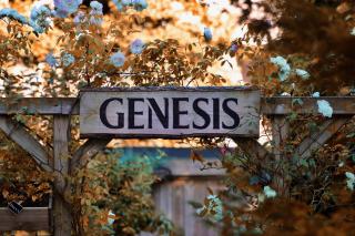 Genesis Voorschoten - 2