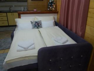 Apartments Vila Zubović - 4