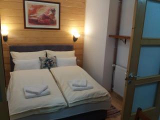 Apartments Vila Zubović - 1