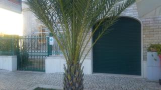 Villa "Franca" - Porto Cesareo - 7