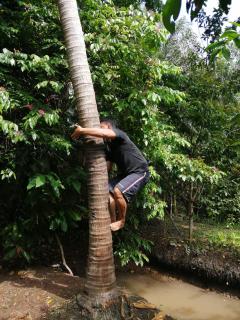 Charming Countryside Homestay - Ben Tre - 1