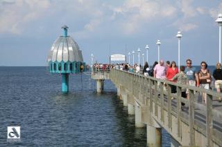 Fewo 1-1 Erlenblick - 3