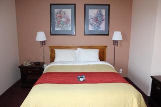 Super 8 by Wyndham Chenoa - Chenoa - 7