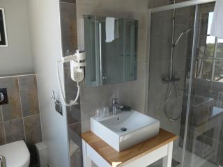 Auberge Du Grand Dauphin - Dhuizon - 4