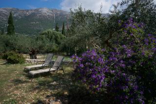Anatoli Villa - Agia Efimia - 3