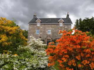 Thistle House Guest House - 0