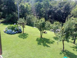 Villa Angela primo piano appartamento - Chiusa di Pesio - 4