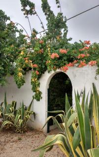 Villa Sara di Puglia - Castellaneta - 6