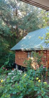 Moon Plains Forest Log - Nuwara Eliya - 4