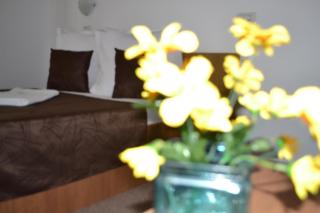 Vila Cristina - Mamaia Nord – Năvodari - 4