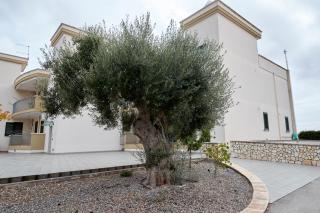 Casa Bellavista - Torre Canne - 4