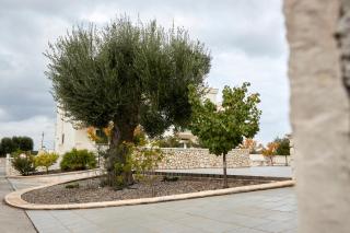 Casa Bellavista - Torre Canne - 6