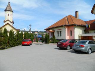Hotel Mures - Topliţa - 6