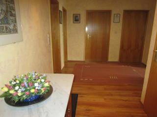 Comfortable apartment - Laatzen - 9