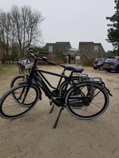 Wittegrijzeduinen - Hollum - 4