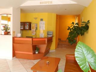 Hotel Mures - Topliţa - 2