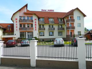 Hotel Mures - 7
