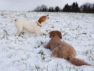 Ferienwohnung am Klosterweg Rhein-Westerwald - 4
