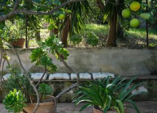 Villa Santa Lucia - Cefalù - 3