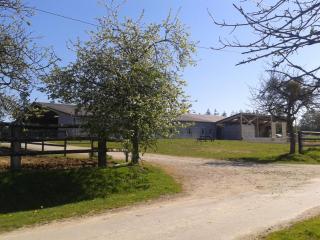 gite des écuries - La Baconnière - 2