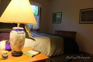 The Meadow Cabin - Folsom - 2