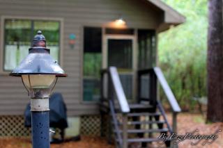 The Meadow Cabin - 9