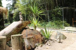 Jamala Wildlife Lodge - Canberra - 7