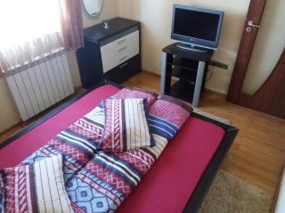 Apartament Alin - 4