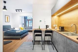 Gold Apartments Your Holiday Home - Krynica Zdrój - 9