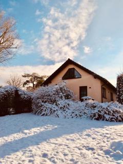 Ferienwohnung Ottokar Familie Dust Nähe Neubrandenburg - Knorrendorf - 9