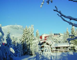 Thon Hotel Skeikampen - Svingvoll - 0