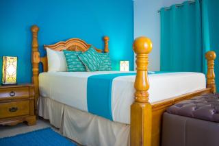 Casa Alexandria Guest Apartment - Kingston - 9