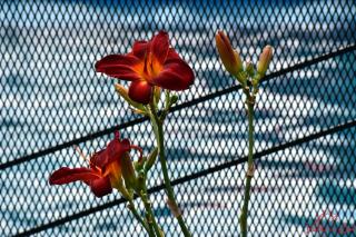 Posada Valle del Sol - 4