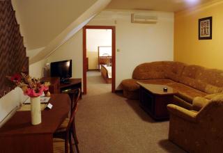 Hotel Pod Hradom - Trenčín - 1