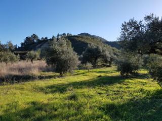Casa Das Oliveiras - 9