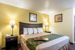 Econo Lodge Inn & Suites Searcy - Searcy - 3