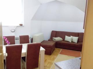 Apartment VILLA MERCI - Sarajevo - 6
