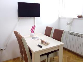 Apartment VILLA MERCI - Sarajevo - 1