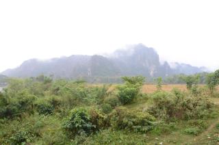 Saksiri Riverside Boutique Hotel - Vang Vieng - 8
