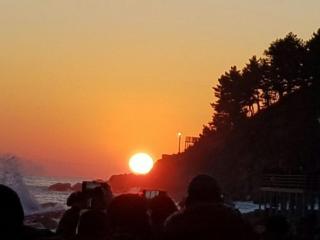 Blue Door Hostel Guesthouse - Sokcho - 6