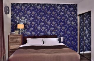 Apartamenty Sjesta Centrum - Kudowa-Zdrój - 5