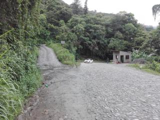 Blue Pine Farm Lodge Cabanas - 8