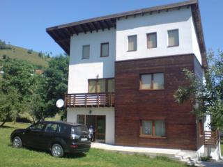 Ambassador's Villa - Bran - 9