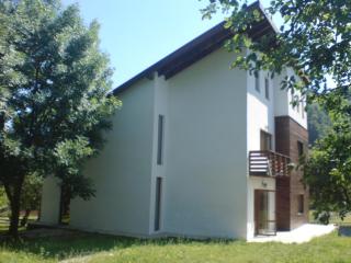 Casa Ambasadorului - Bran - 2
