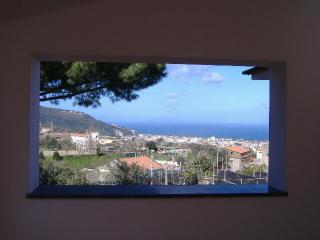 Azienda Agricola Veniero - Piano di Sorrento - 3