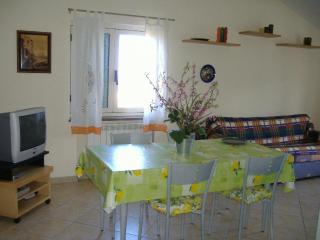 Azienda Agricola Veniero - Piano di Sorrento - 4