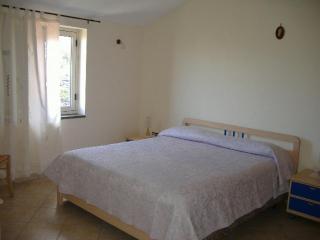 Azienda Agricola Veniero - Piano di Sorrento - 9