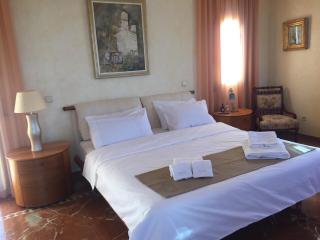 Luxury Villa Hortensia - 1