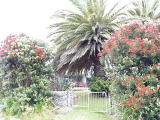 Twin Palms - Waikanae - 0