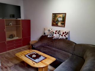 Guesthouse Ramović - Zlatibor - 2